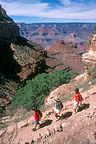 Lolo and the boys hiking the Bright Angel Trail Lolo and the boys hiking the Bright Angel Trail