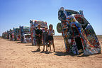 Lolo and the boys at Cadillac Ranch Lolo and the boys at Cadillac Ranch