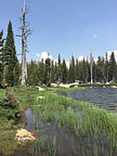 Polly Dome Lake Polly Dome Lake