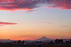 Mt. Jefferson from Solartown Mt. Jefferson from Solartown