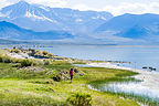 Lovely Mono Lake Lovely Mono Lake
