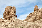 Lolo playing on Trona Pinnacles Lolo playing on Trona Pinnacles