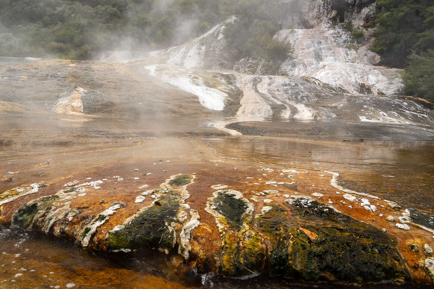Orakei Korako