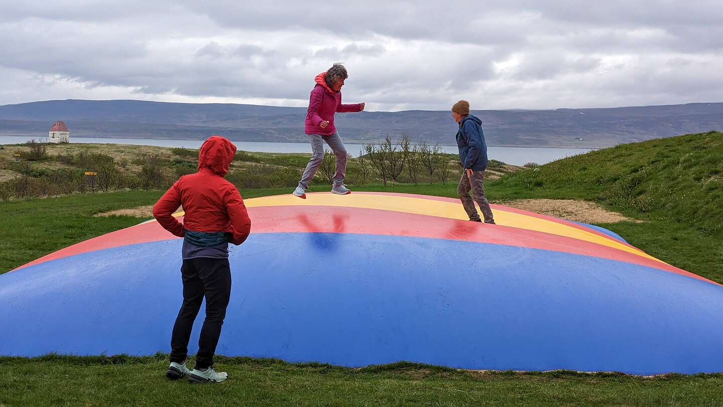 Trampoline Fun Trampoline Fun
