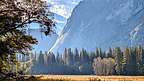Ahwahnee Meadow Ahwahnee Meadow