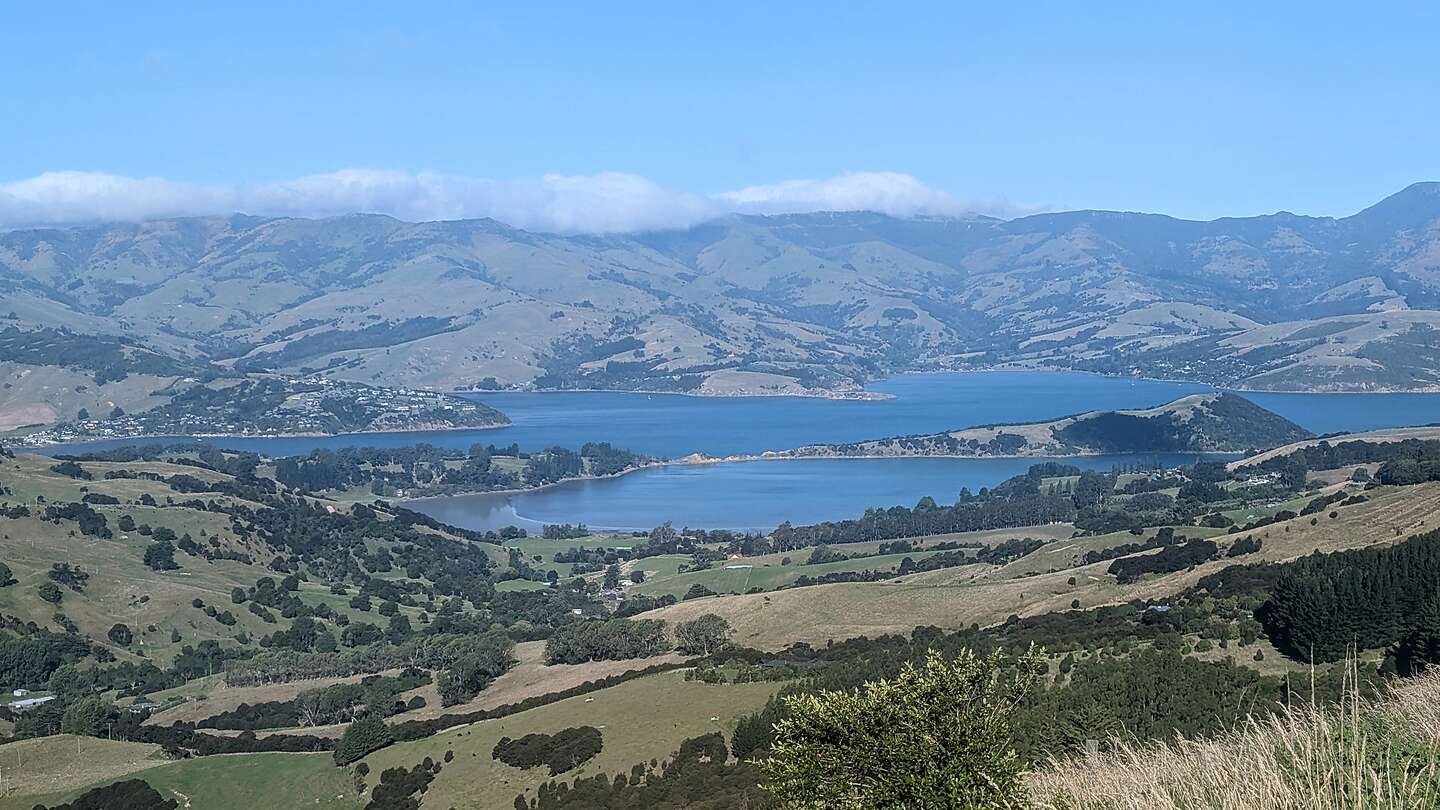 Along the drive to Akaroa