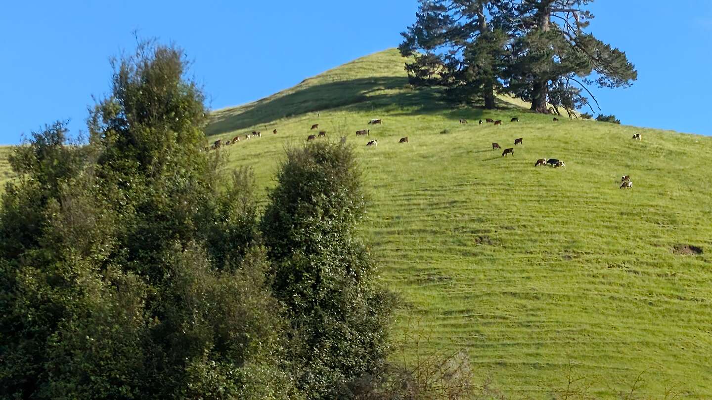Scenery along the way