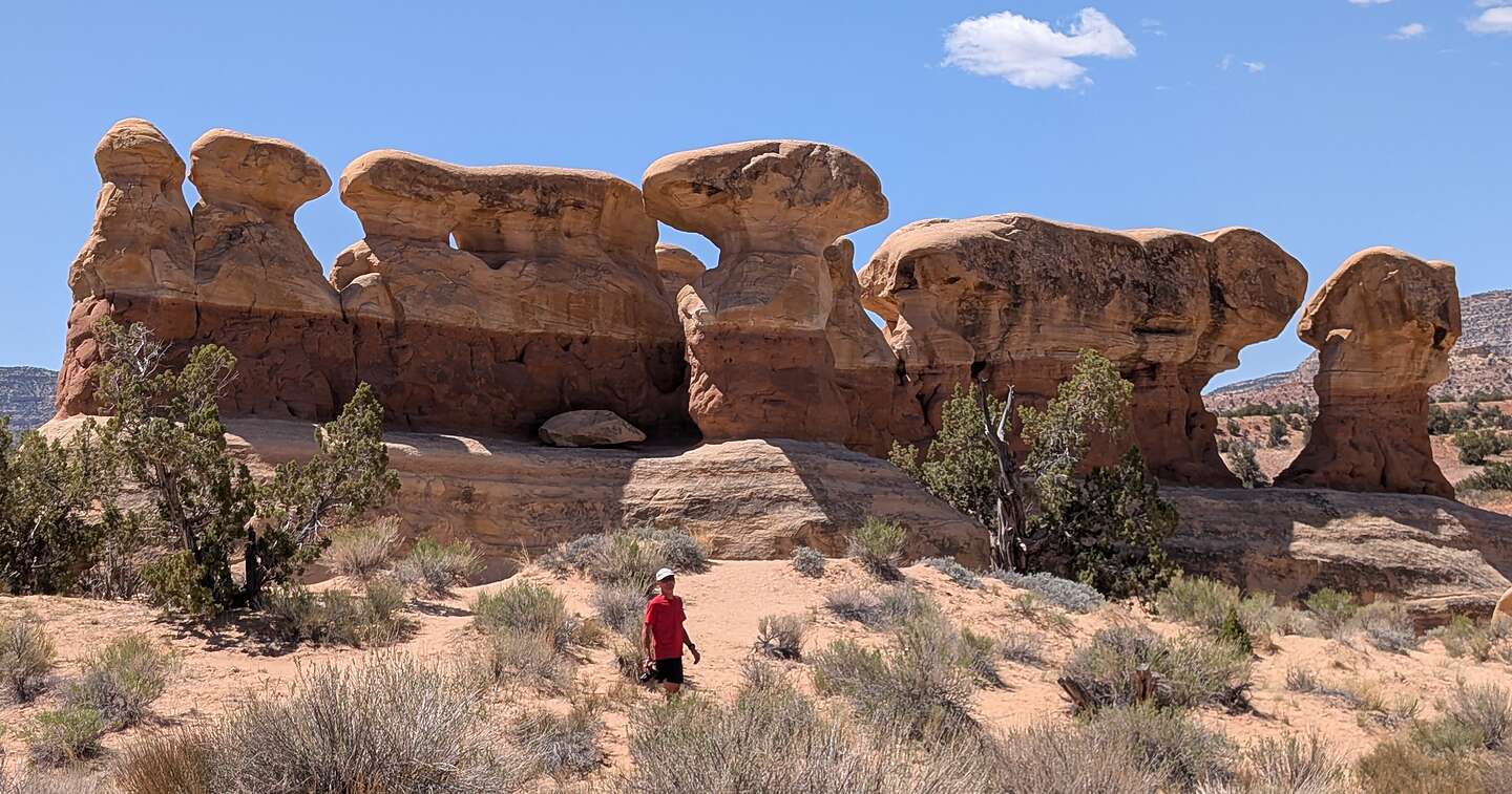 Devil's Garden